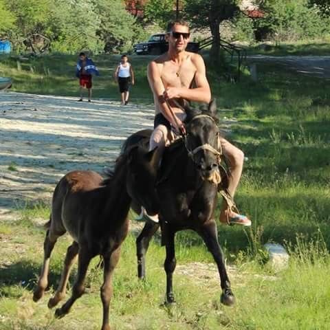 ���� 11309648 ������� ZOHRAK, 33 ����, ���� ���������� � �������