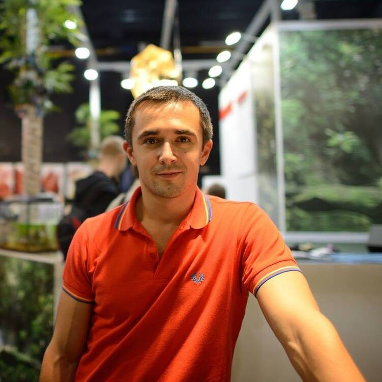 ���� 26678448 ������� ������, 34 ����, ���� ���������� � �����-����������