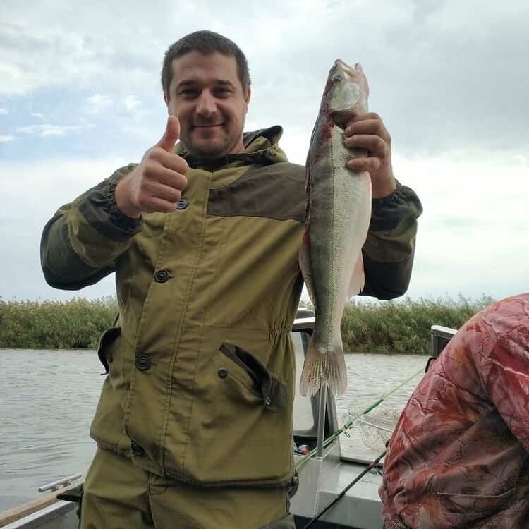 ���������� ���������, ���� ������� ������, 32 ����, ������������ ��� ������, ���������