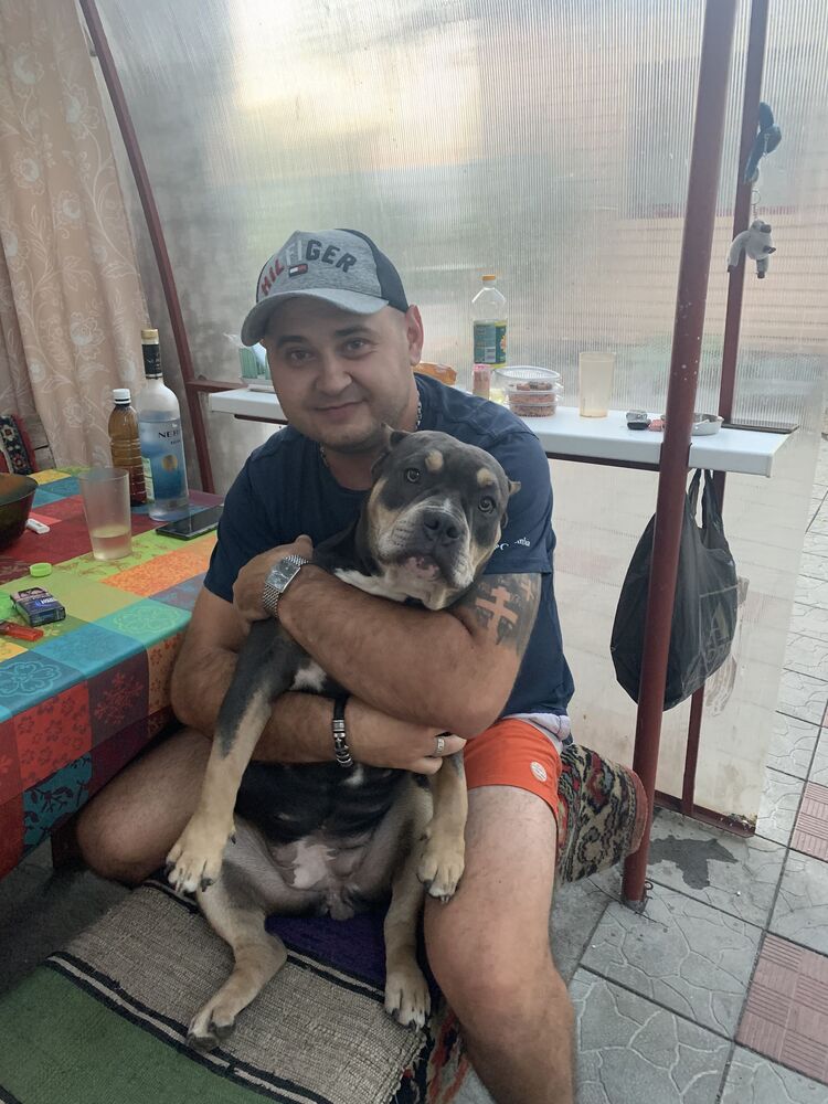 ���� 55672868 ������� �����, 38 ���, ���� ���������� � ����������