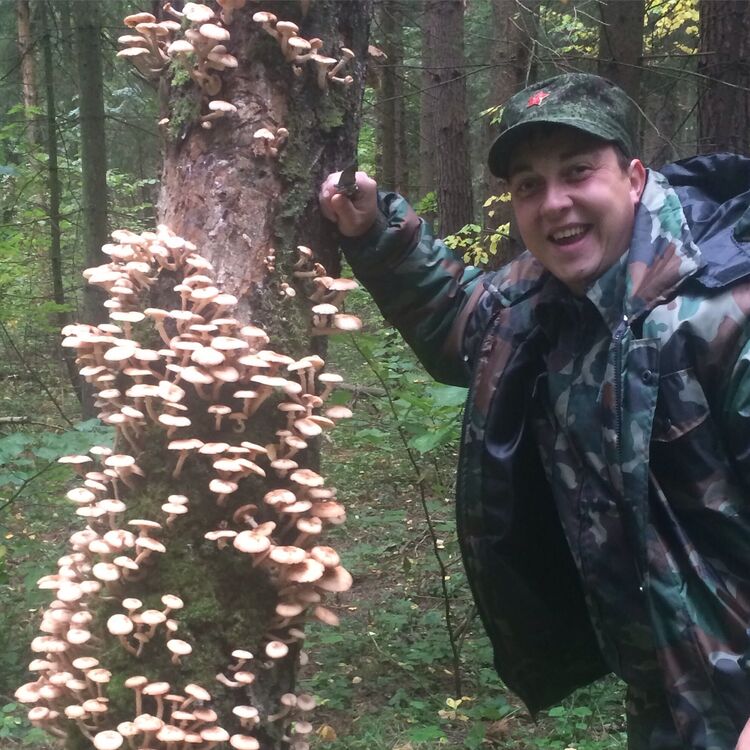 ���� 24786218 ������� �������, 39 ���, ���� ���������� � ������