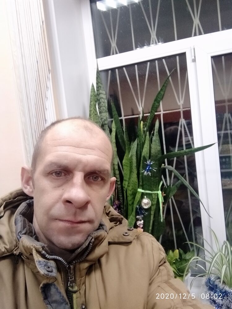 31115368  , 46 ,    