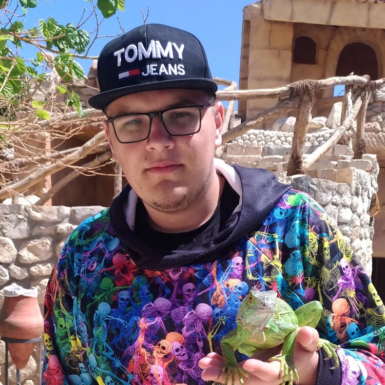 ���� 24495678 ����� ������, 22 ����, ���� ���������� � ����-����������