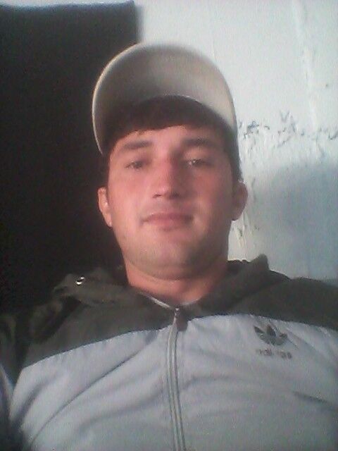  ,   , 31 ,     , c 