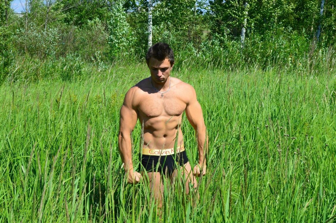  16473768  , 38 ,    -