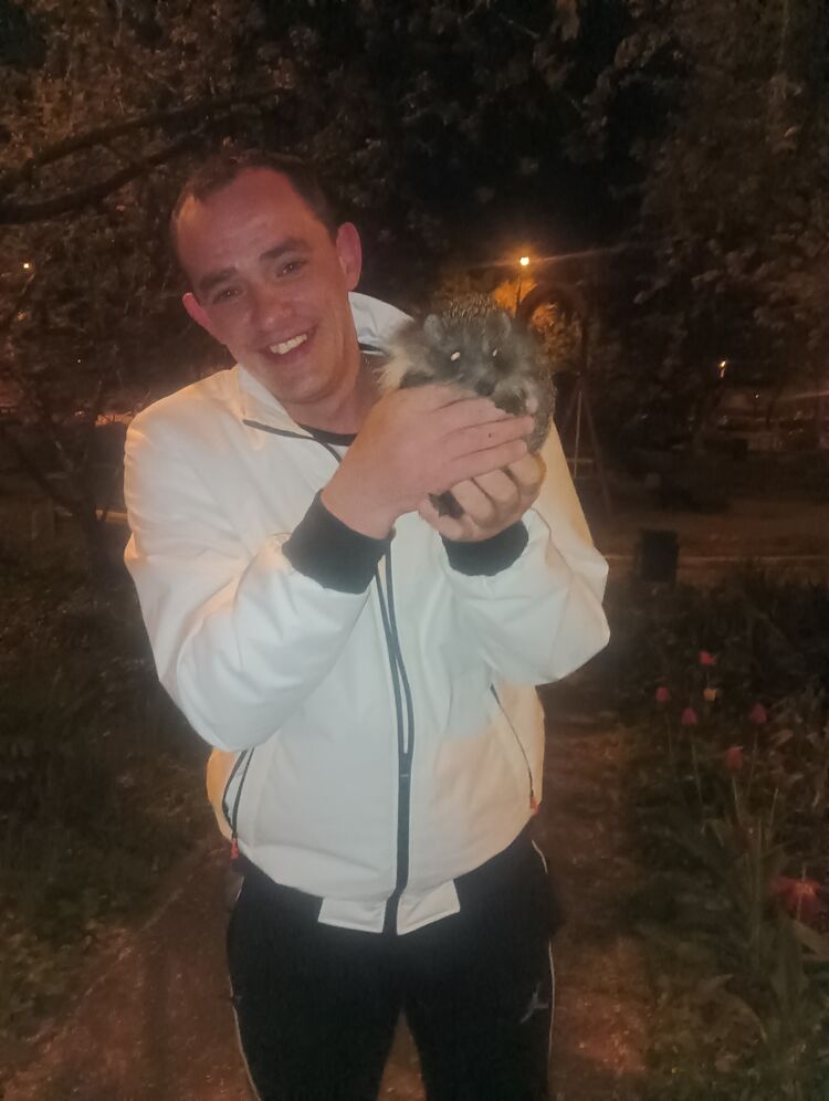 ���� 37909398 ������� ����, 40 ���, ���� ���������� � ����������