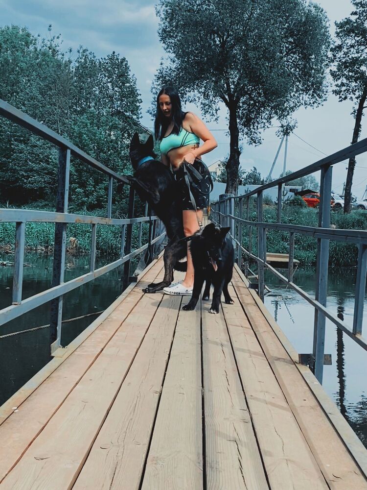 ���������� �������, ���� ������� Catalina, 35 ���, ������������ ��� ������, ���������