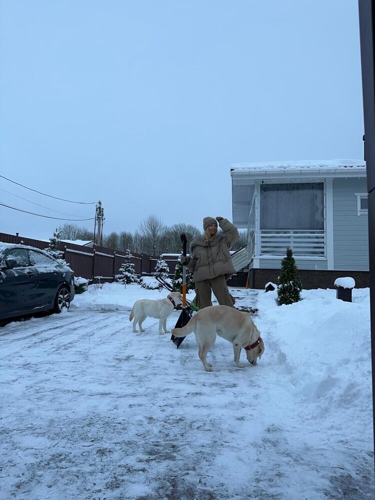  54579908  , 41 ,    -