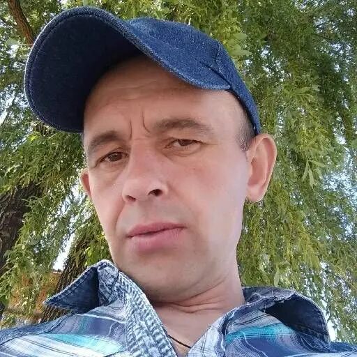 ���� 56018998 ������� �������, 48 ���, ���� ���������� � �������