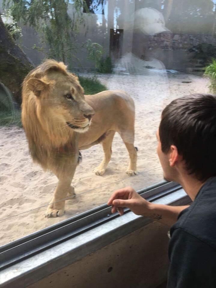 ���������� ����, ���� ������� ������, 34 ����, ������������ ��� ������, ����� � ���������, c�������� ���������, ���������