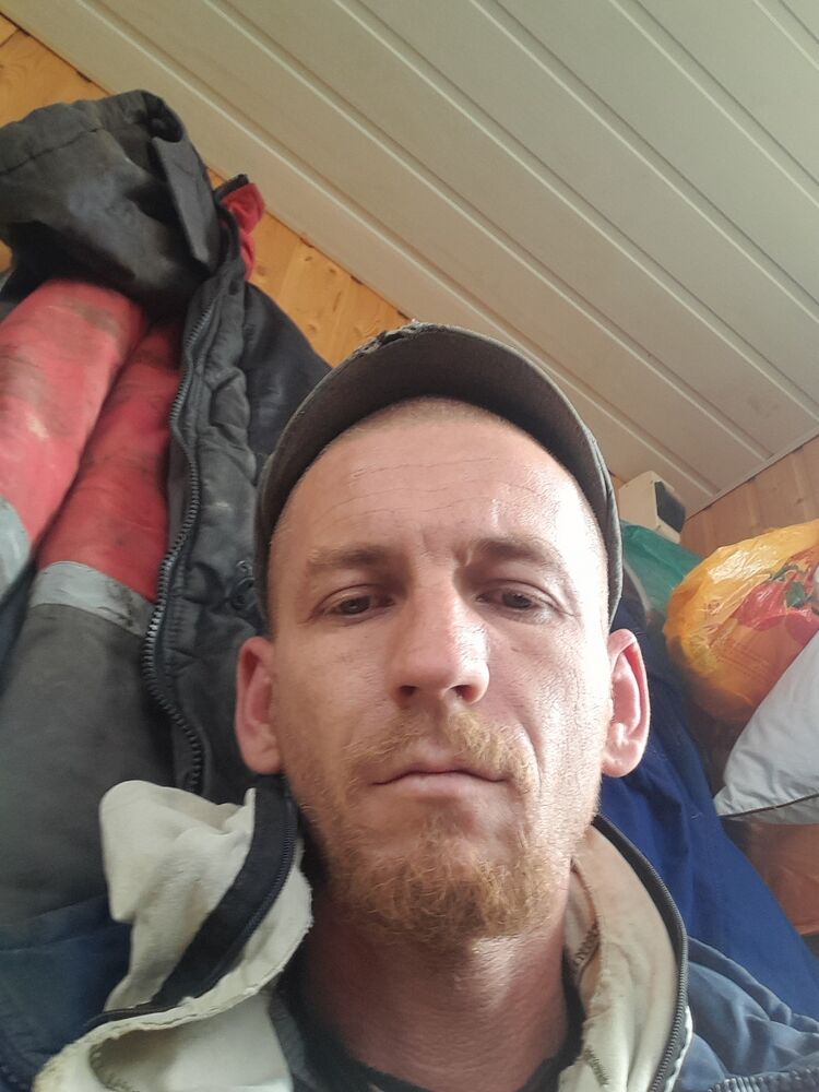 33809378  , 40 ,    