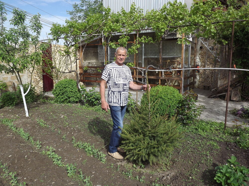  ,   Aleksandr, 69 ,     , c 