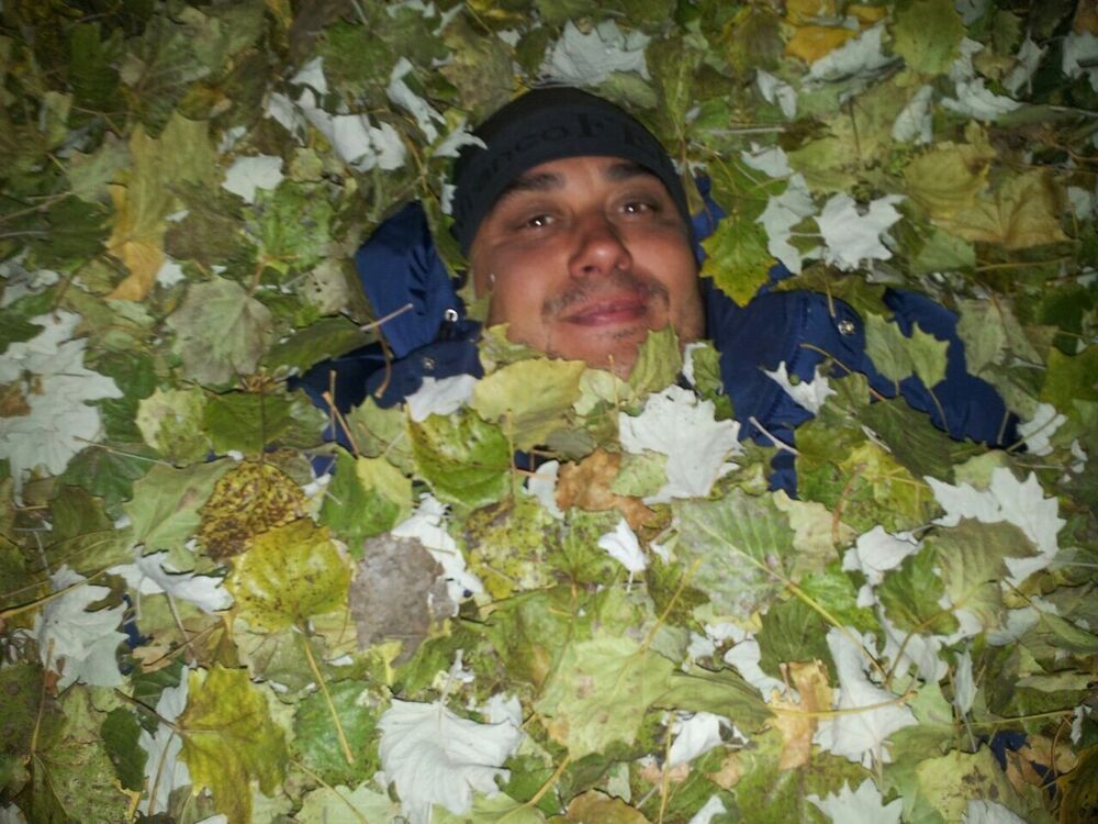 ���� 11279198 ������� ����, 44 ����, ���� ���������� � �������