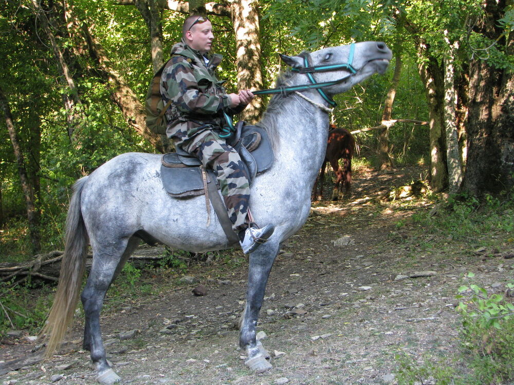 ���������� ������, ���� ������� �����, 44 ����, ������������ ��� ������