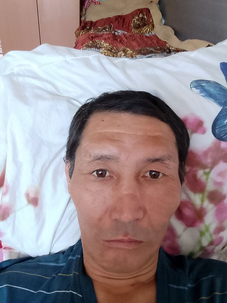  45206128  , 46 ,    -