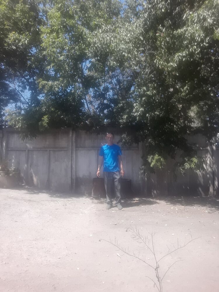  43930788  , 40 ,    