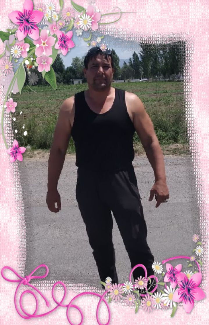 ���� 26590138 ������� ����, 45 ���, ���� ���������� � ��������