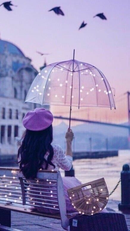  29311678  Su su, 28 ,    