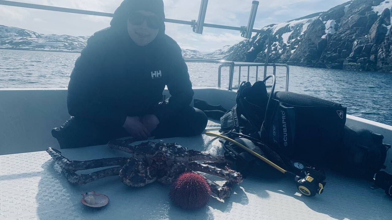 ���������� ��������, ���� ������� ������, 27 ���, ������������ ��� ������, ����� � ���������