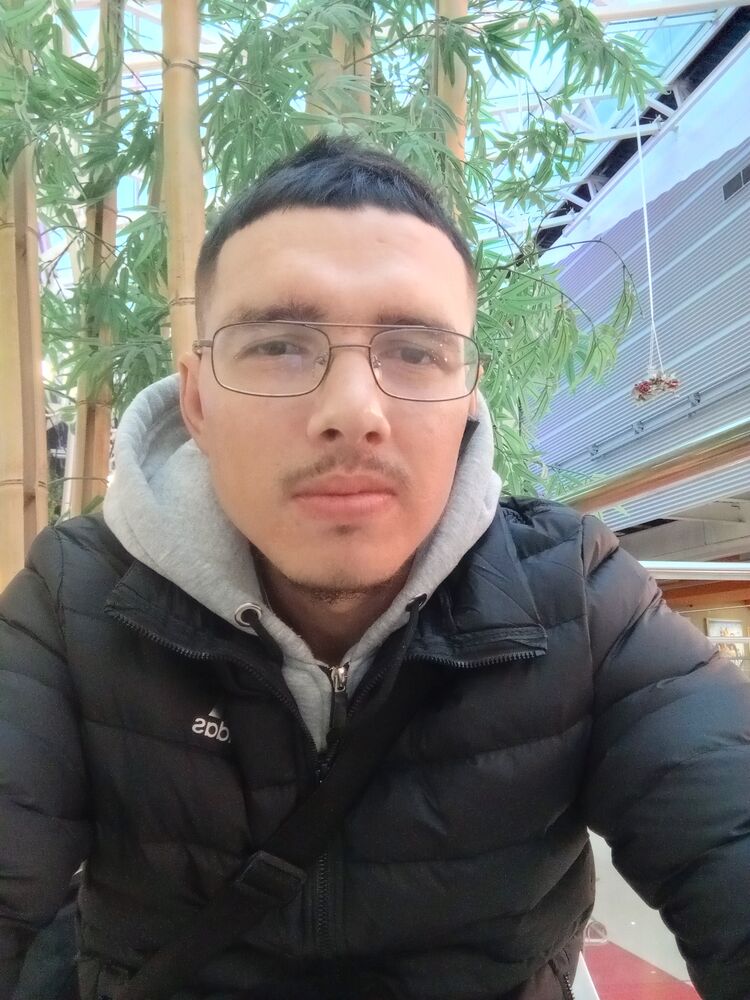  51955038  , 31 ,    