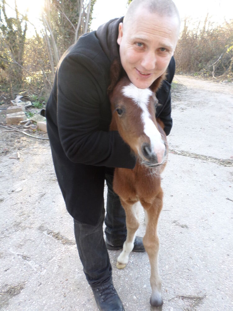 ���������� ��������, ���� ������� ���������, 45 ���, ������������ ��� ������, ����� � ���������, c�������� ���������