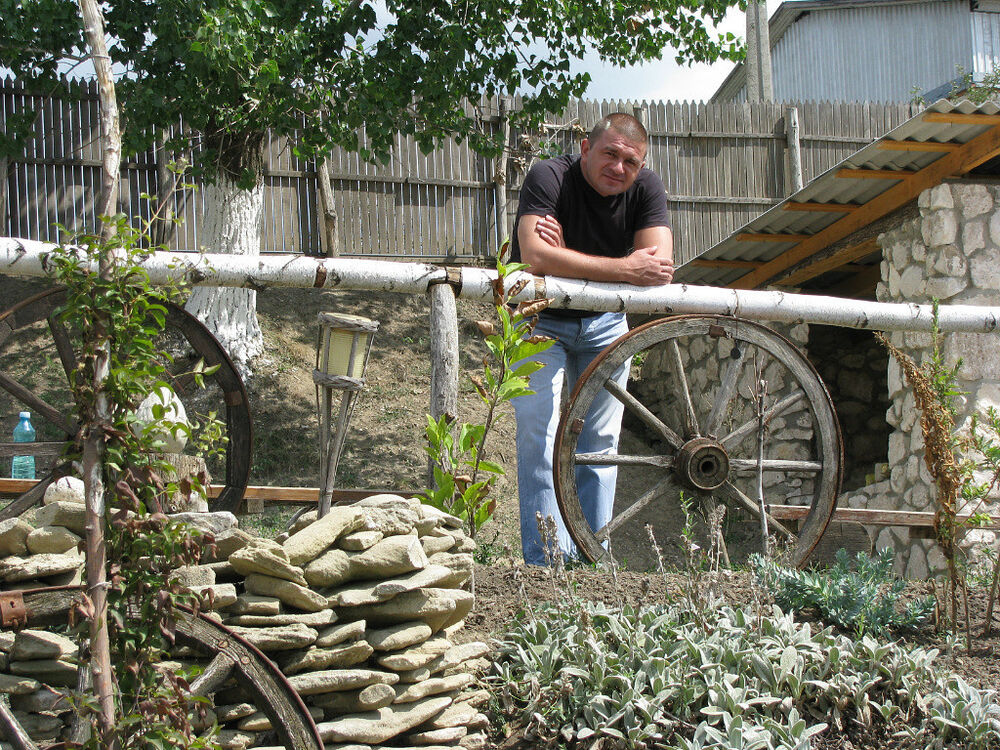 ���� 19398358 ������� ��������, 51 ���, ���� ���������� � ��������