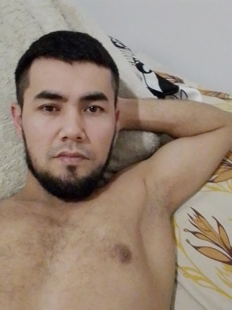  31585138   , 33 ,    