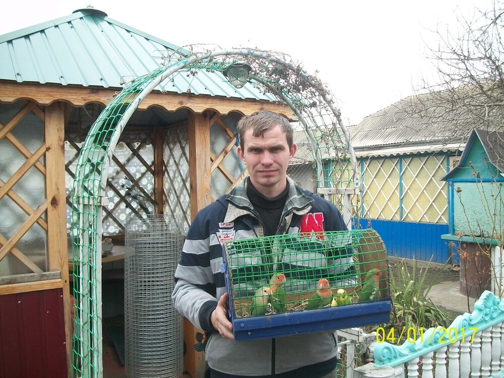 ���������� ��������������, ���� ������� ������, 38 ���, ������������ ��� ������, ����� � ���������, c�������� ���������