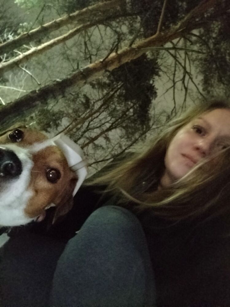 ���������� ������, ���� ������� ����, 36 ���, ������������ ��� ������, ����� � ���������