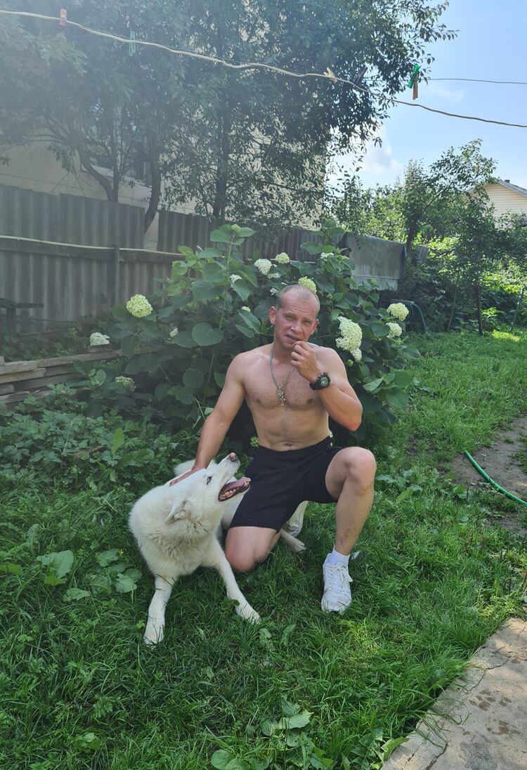 ���� 28887668 ������� �������, 40 ���, ���� ���������� � ������