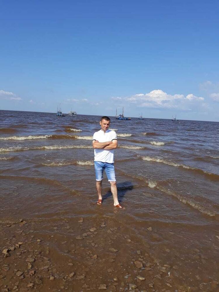  29645878  , 41 ,    