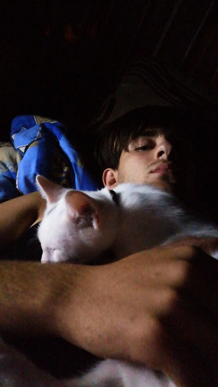 ���������� �����, ���� ����� En, 22 ����, ������������ ��� ������, ����� � ���������