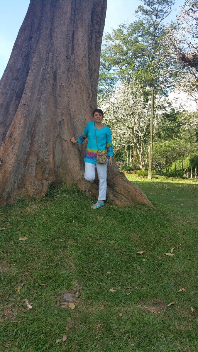  ,   , 54 ,   ,   , c 