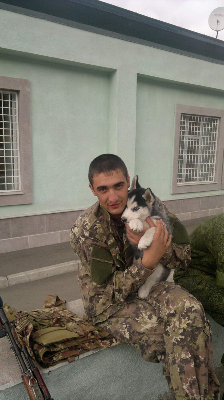 ���� 25389668 ������� ������, 36 ���, ���� ���������� � ������