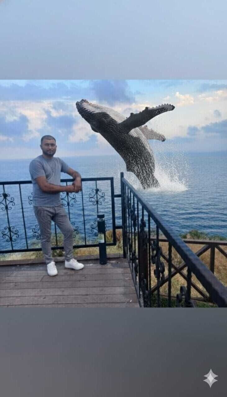 ���� 54714558 ������� Miki, 39 ���, ���� ���������� � �������������