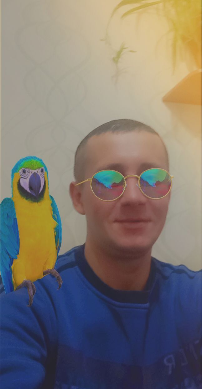 ���������� �����, ���� ������� ������, 43 ����, ������������ ��� ������, ����� � ���������, c�������� ���������, ���������