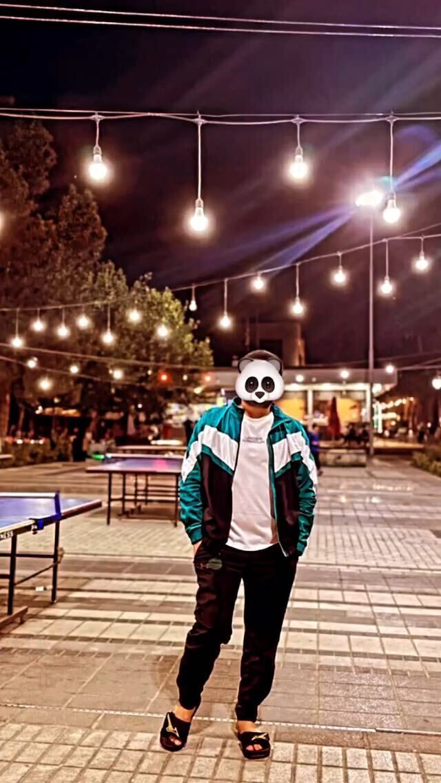  40584278  , 26 ,    