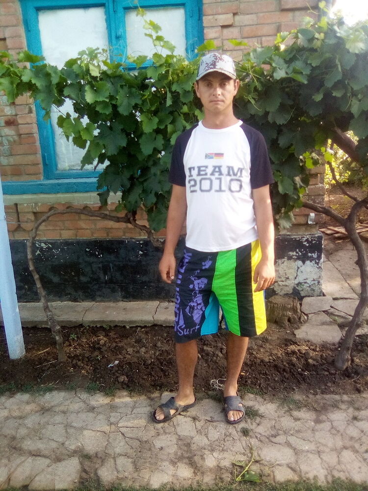  16632848  , 31 ,    