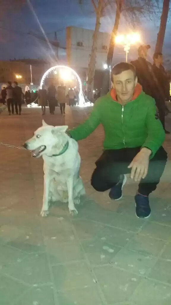  ,   Sherka, 32 ,   ,   , c , 