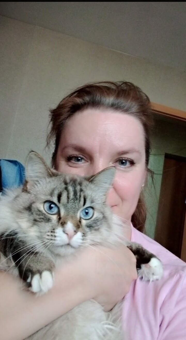 ���������� �����-���������, ���� ������� ������, 46 ���, ������������ ��� ������, ����� � ���������, c�������� ���������