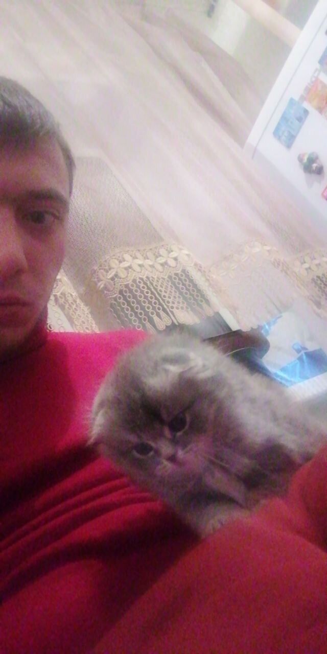 ���� 22620088 ������� Jooby, 31 ���, ���� ���������� � �������