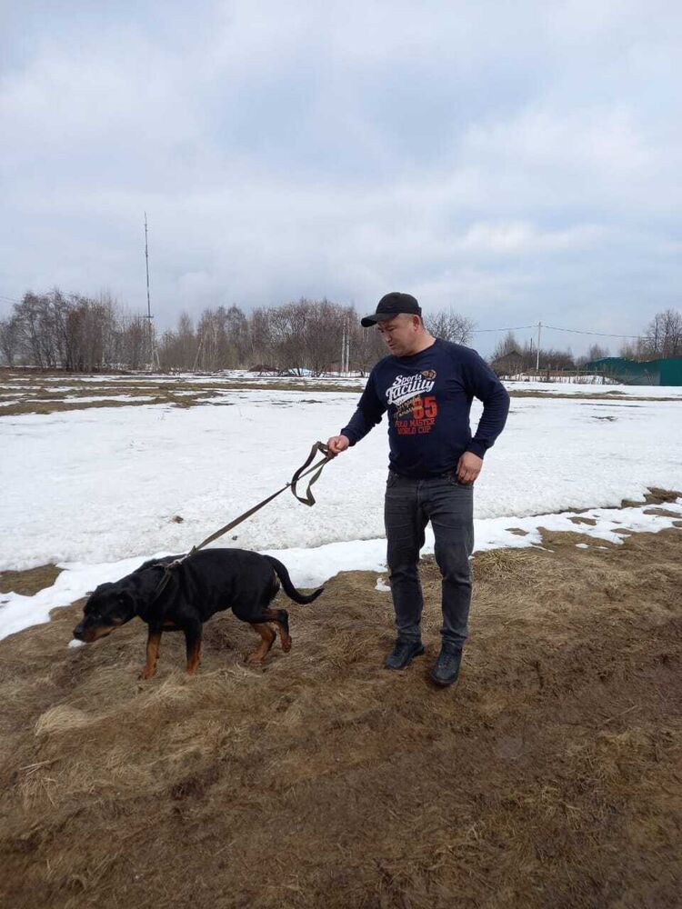 ���������� ������, ���� ������� ���, 40 ���, ������������ ��� ������, ����� � ���������