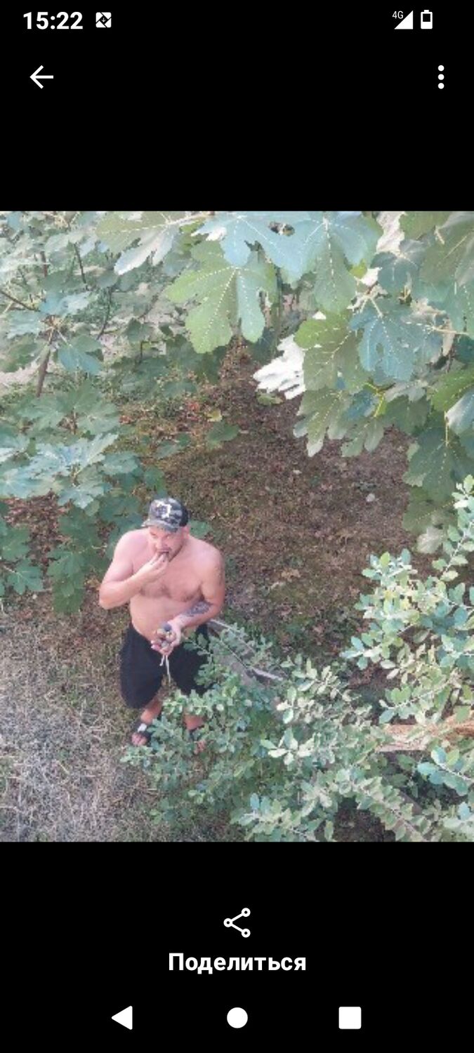 ���� 55889668 ������� ������, 37 ���, ���� ���������� � ��������