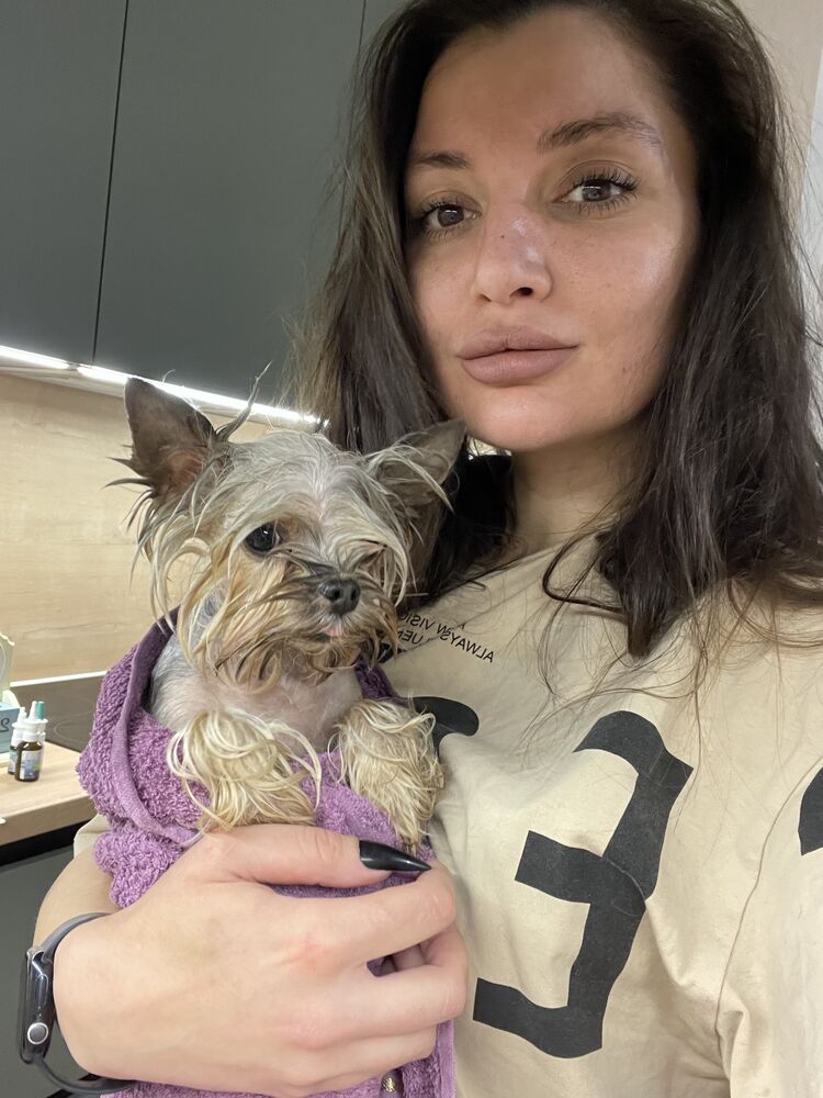  53429808  , 35 ,    -