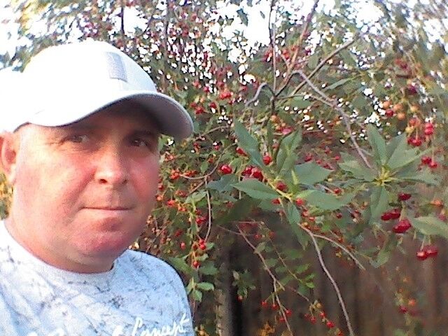  52779038  Evgenii, 48 ,    