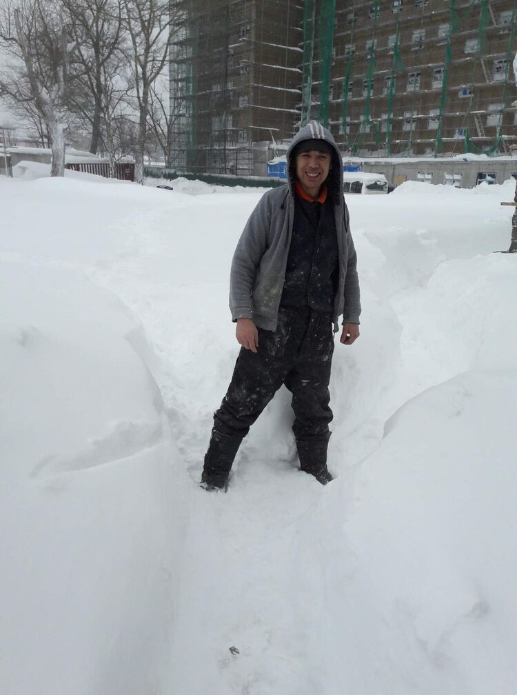 ���� 26025878 ������� �����, 36 ���, ���� ���������� � ������