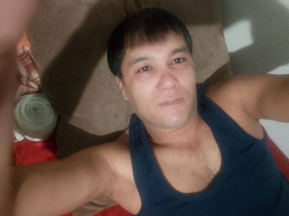  47979168  , 36 ,    