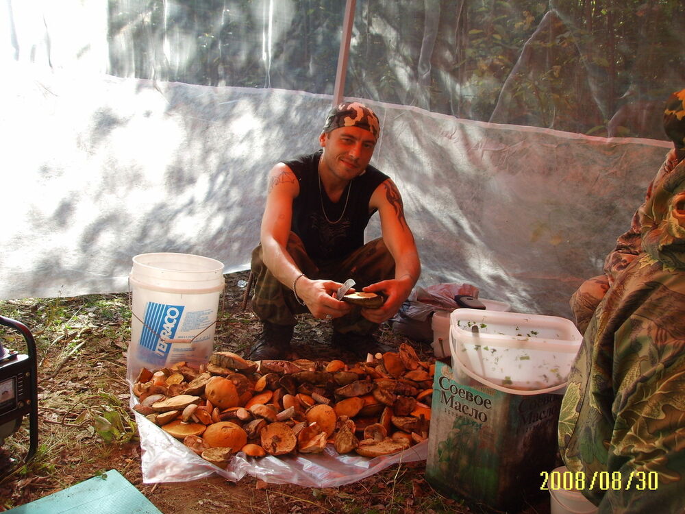  ,   Dava, 41 ,   ,   , c 