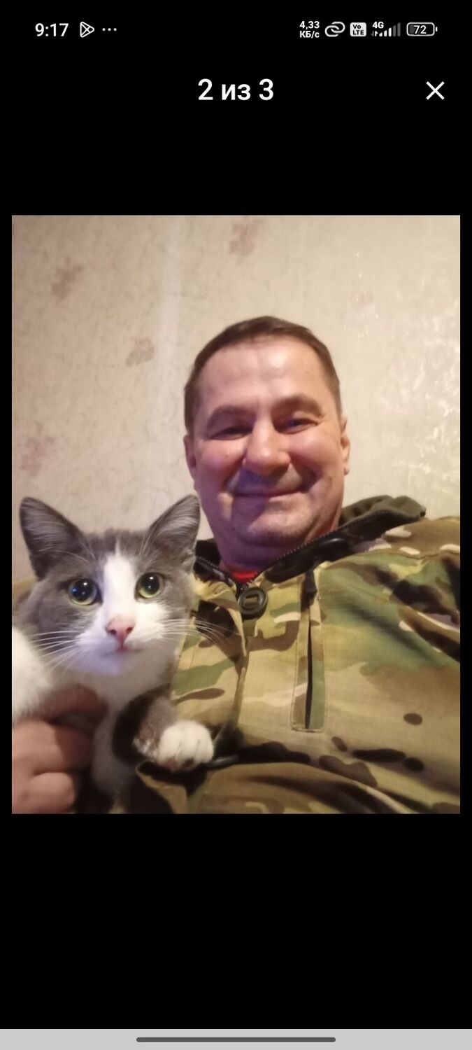 ���������� �������, ���� ������� �������, 50 ���, ������������ ��� c�������� ���������