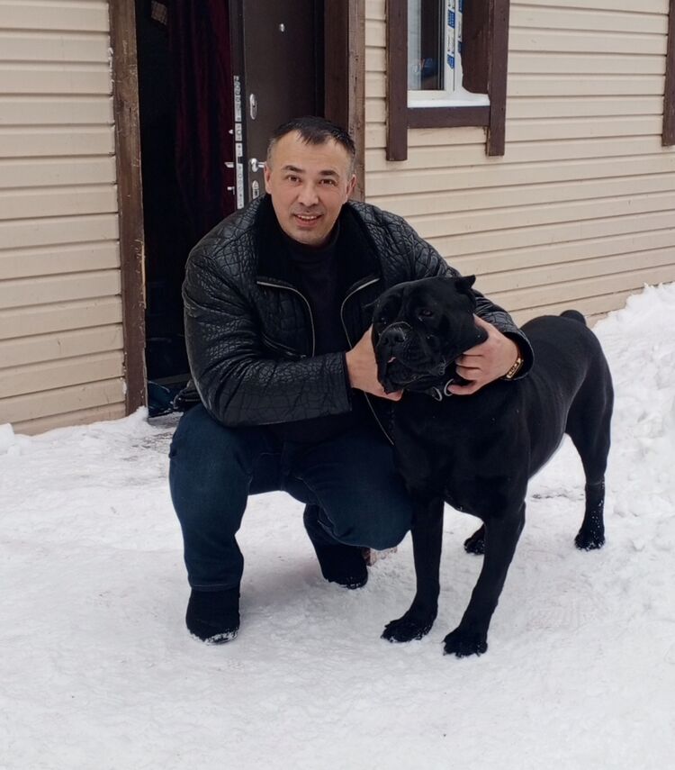 ���������� �����, ���� ������� Anderson, 42 ����, ������������ ��� ����� � ���������, c�������� ���������